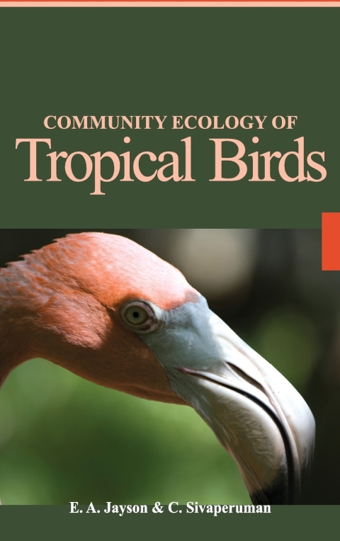 Cover image for book Community Ecology of Tropical Birds