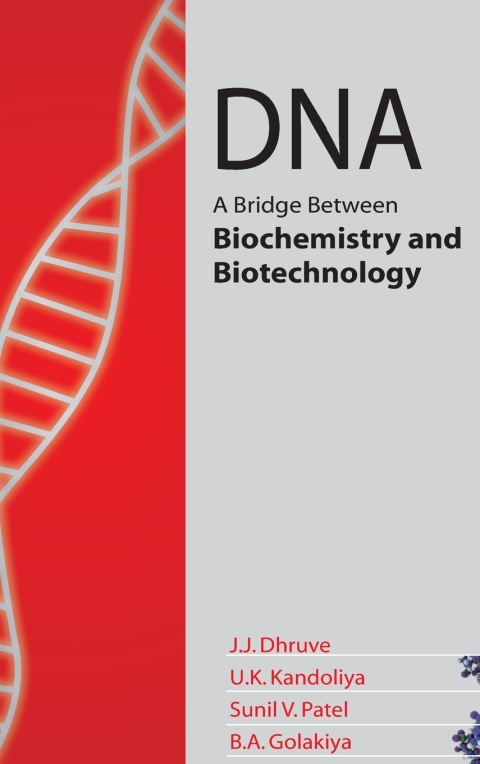 Cover image for book DNA: A Bridge Between Biochemistry and Biotechnology