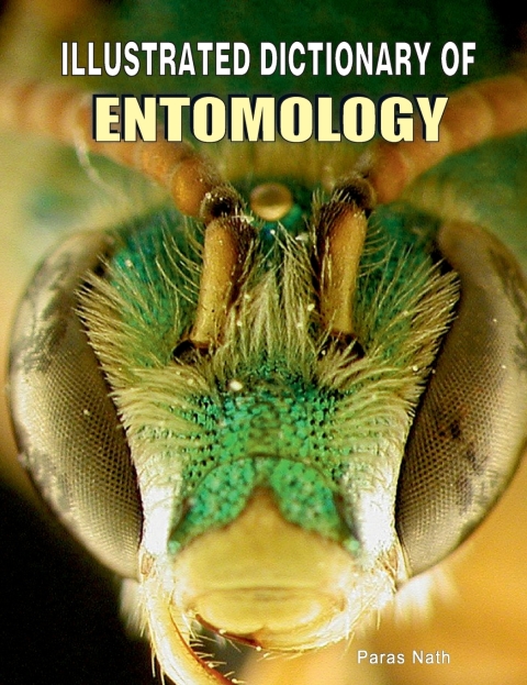 Cover image for book Illustrated Dictionary of Entomology