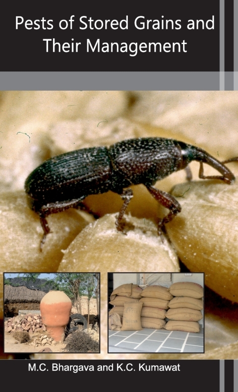 Cover image for book Pests of Stored Grains and Their Management