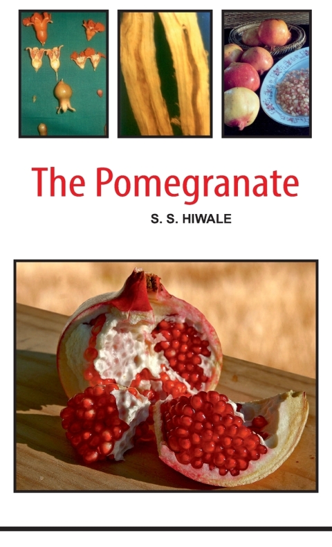 Cover image for book Pomegranate