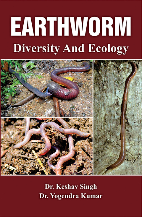Cover image for book Earthworm Diversity and Ecology