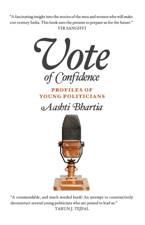 Cover image for book Vote of Confidence:Profiles of Young Politicians