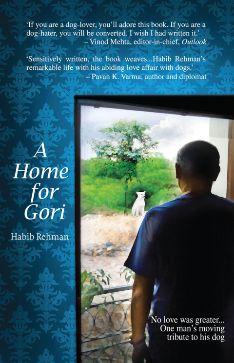Cover image for book A Home for Gori