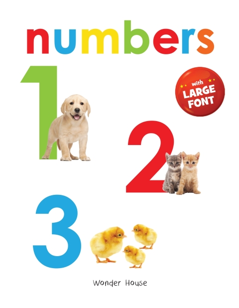 Cover image for book Numbers