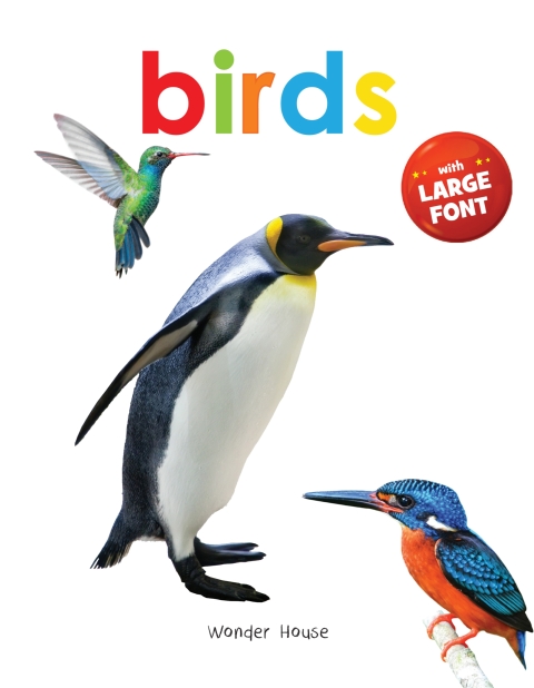 Cover image for book Birds