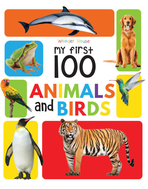 Cover image for book My First 100 Library: of 5 Early Learning Books for Kids/Children