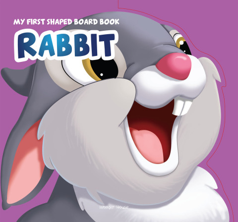 Cover image for book Rabbit