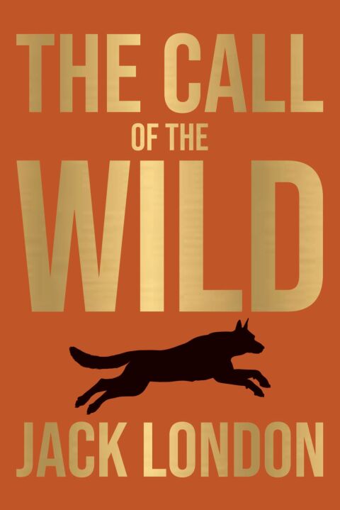 Cover image for book The Call of The Wild