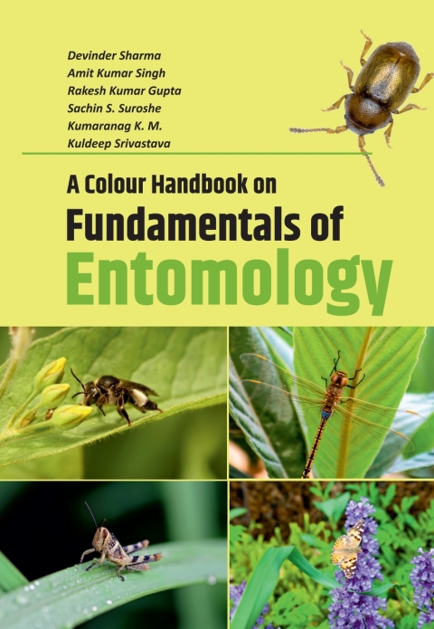 A Colour Handbook on Fundamentals of Entomology 