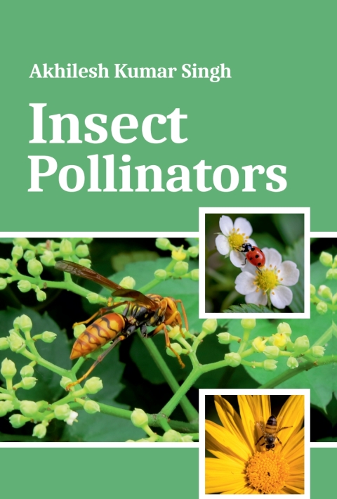 Cover image for book Insect Pollinators