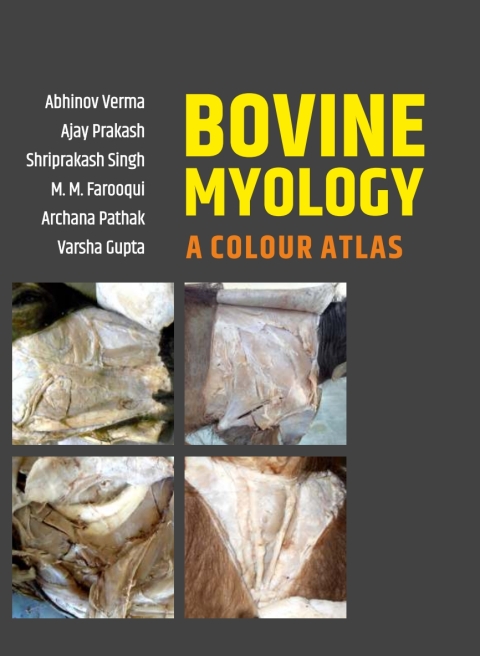 Bovine Myology: A Colour Atlas 