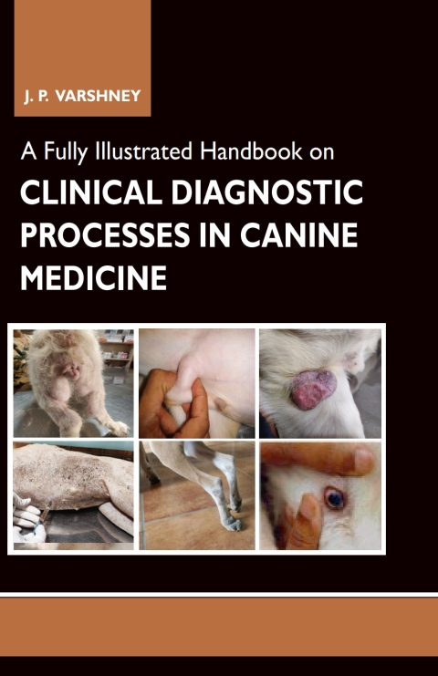 Cover image for book A Fully Illustrated Handbook on Clinical Diagnostic Processes in Canine Medicine