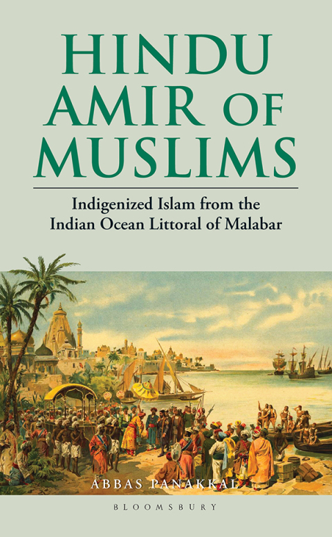 Cover image for book Hindu Amir of Muslims