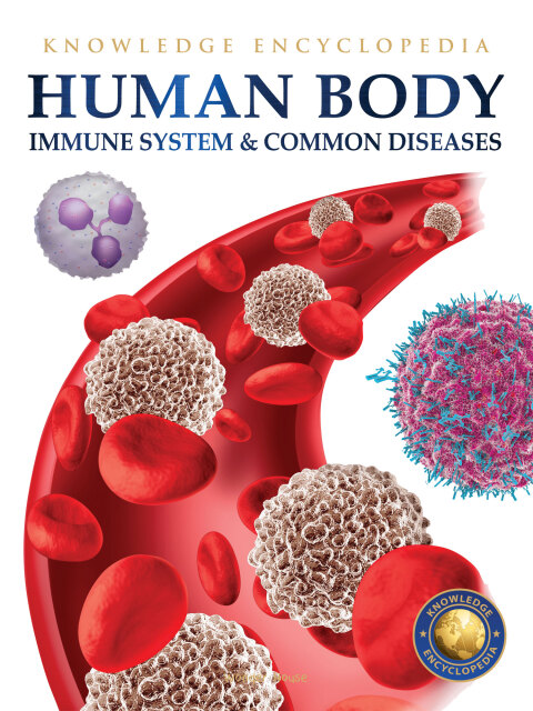 Cover image for book Human Body - Immune System And Common Diseases: Knowledge Encyclopedia For Children
