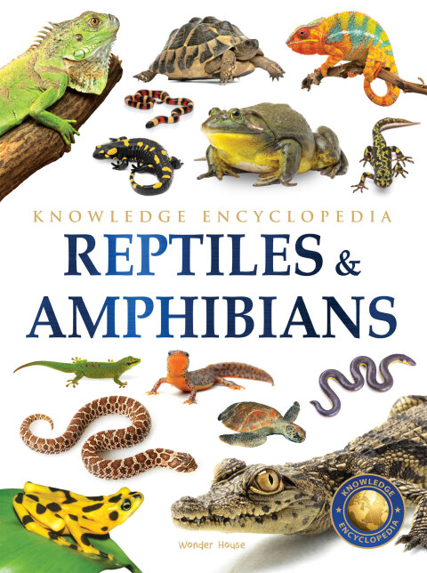 Cover image for book Animals - Reptiles and Amphibians : Knowledge Encyclopedia For Children