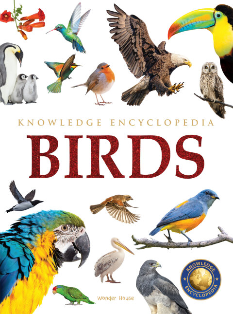 Cover image for book Animals - Birds : Knowledge Encyclopedia For Children