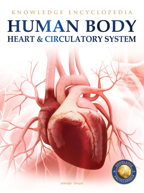 Cover image for book Human Body - Heart And Circulatory System: Knowledge Encyclopedia For Children