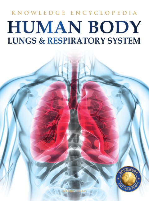 Cover image for book Human Body - Lungs And Respiratory System: Knowledge Encyclopedia For Children