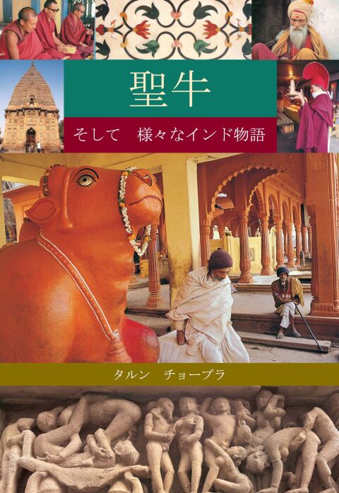 Cover image for book The Holy Cow & Other Indian Stories (Japanese)