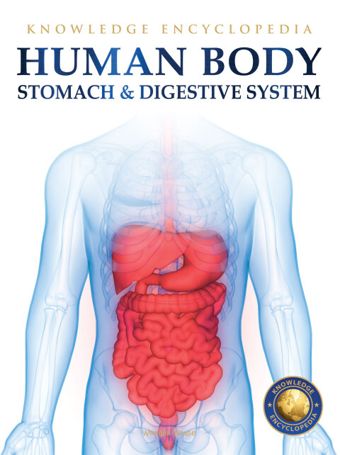 Cover image for book Human Body - Stomach And Digestive System: Knowledge Encyclopedia For Children
