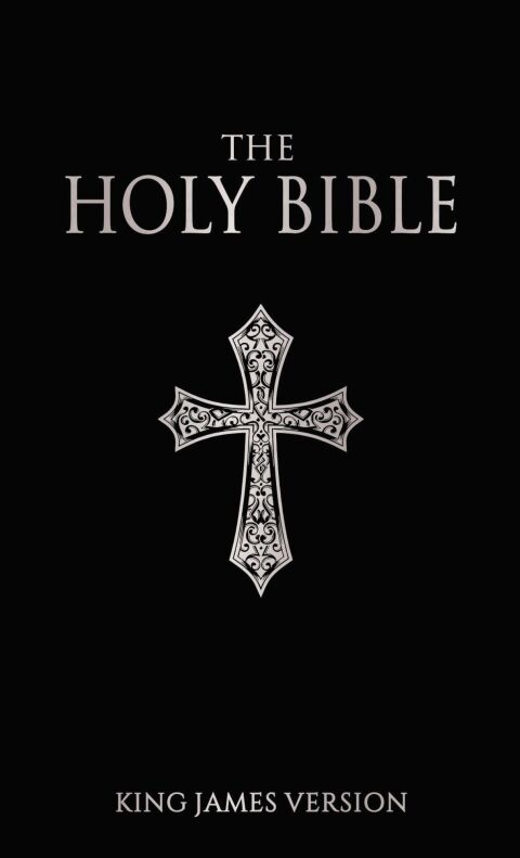 Cover image for book The Holy Bible (Spirituality)