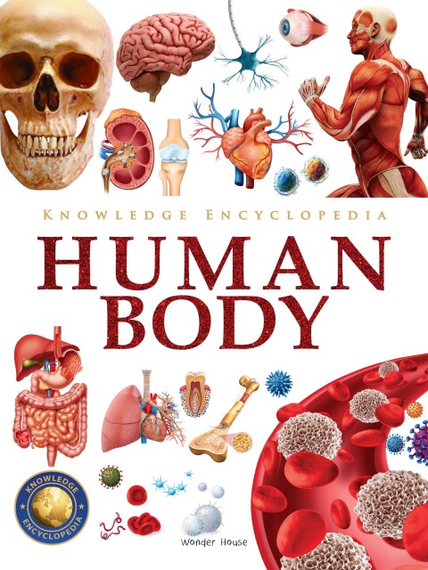 Cover image for book Knowledge Encyclopedia - Human Body