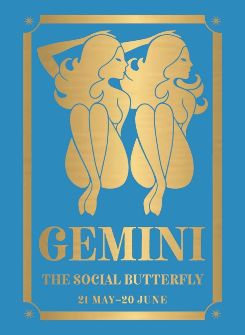 Cover image for book Gemini