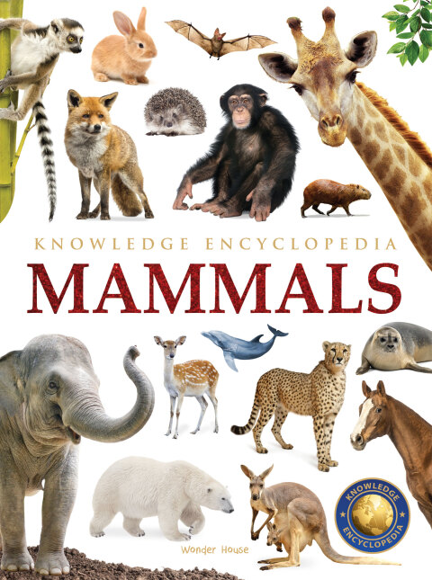 Cover image for book Animals - Mammals : Knowledge Encyclopedia For Children