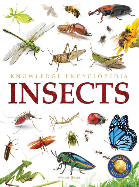 Cover image for book Animals - Insects : Knowledge Encyclopedia For Children