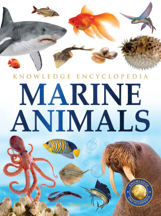 Animals - Marine Animals : Knowledge Encyclopedia For Children