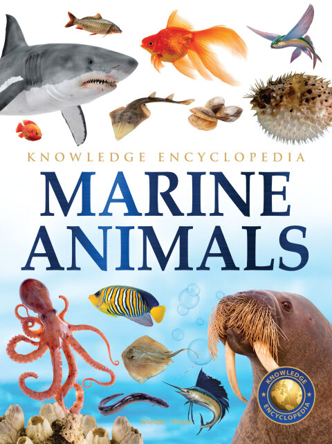 Cover image for book Animals - Marine Animals : Knowledge Encyclopedia For Children