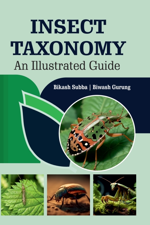 Cover image for book Insect Taxonomy: An Illustrated Guide