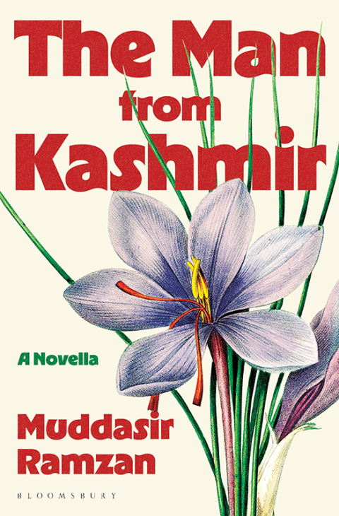 Cover image for book The Man from Kashmir