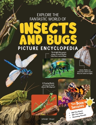 Explore Fantastic World of Insects And Bugs Picture Encyclopedia
