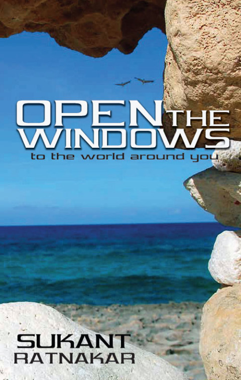 Cover image for book Open the Windows