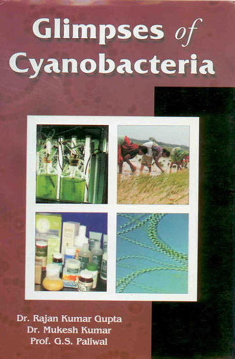 Cover image for book Glimpses of Cyanobacteria