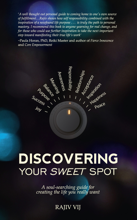 Cover image for book Discovering Your Sweet Spot
