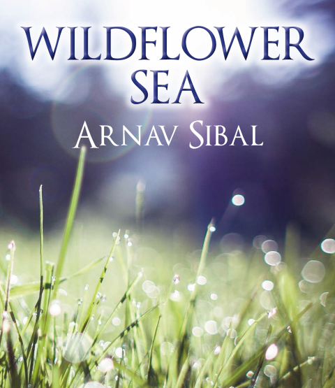 Cover image for book Wildflower Sea
