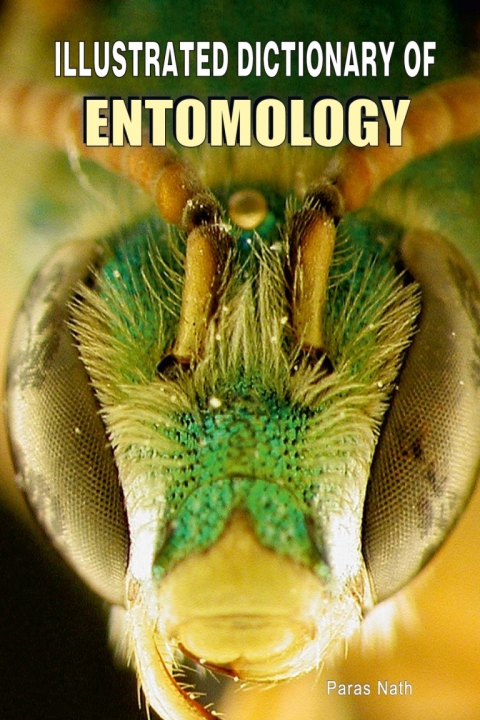 Cover image for book Illustrated Dictionary of Entomology