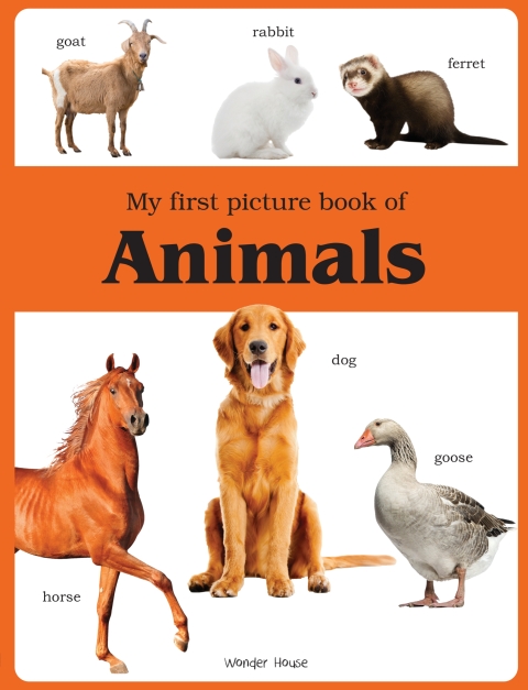 Cover image for book My First Picture Book of Animals