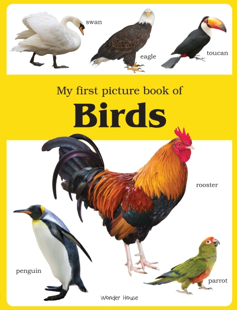 Cover image for book My First Picture Book of Birds