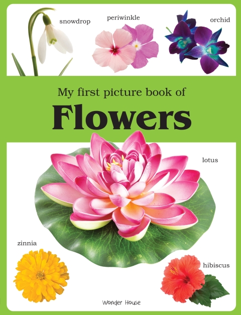 Cover image for book My First Picture Book of Flowers