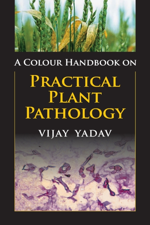 Cover image for book A Colour Handbook on Practical Plant Pathology
