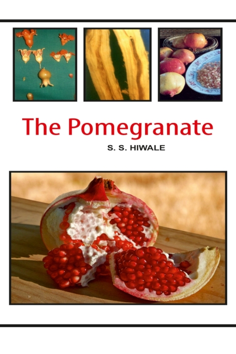 Cover image for book The Pomegranate