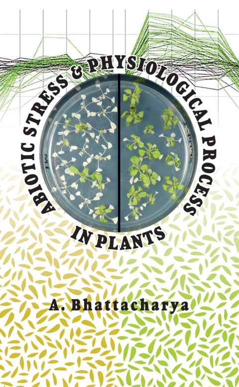Cover image for book Abiotic Stress and Physiological Process in Plants