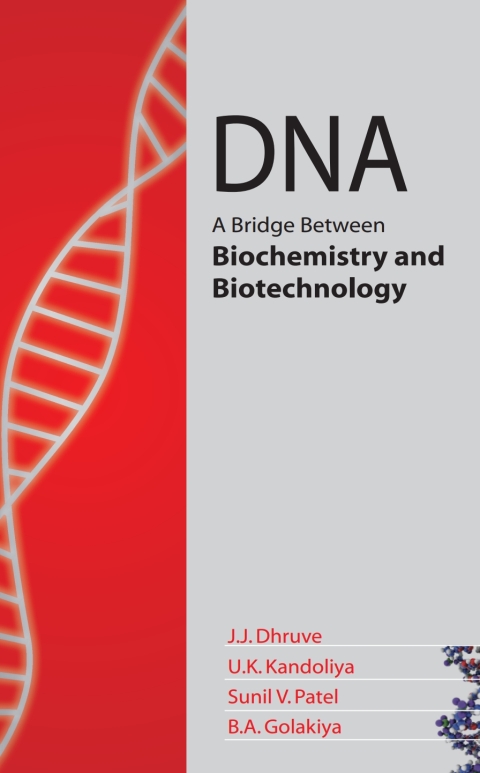 DNA: A Bridge Between Biochemistry and Biotechnology 