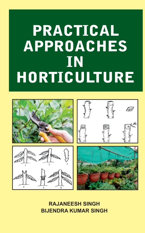 Cover image for book Practical Approaches in Horticulture
