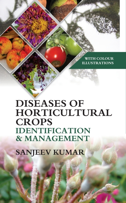 Cover image for book Diseases of Horticultural Crops Identification and Management: With Colour Illustrations