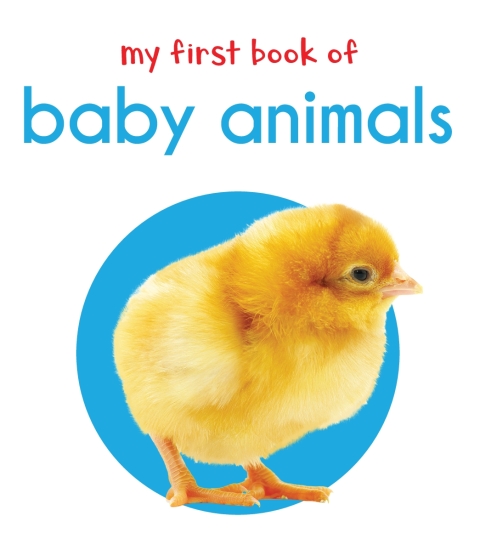 Cover image for book My First Book of Baby Animals